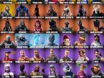 خرید اکانت فورتنایت کد 4981