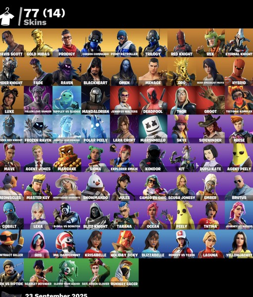 خرید اکانت فورتنایت کد 5028