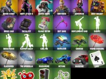 خرید اکانت فورتنایت کد 5039