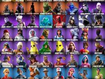 خرید اکانت فورتنایت کد 5058