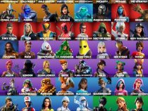 خرید اکانت فورتنایت کد 5066