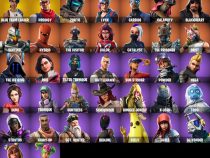 خرید اکانت فورتنایت کد 5076