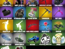 خرید اکانت فورتنایت کد 5078