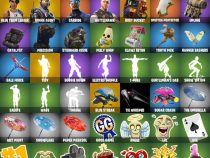 خرید اکانت فورتنایت کد 5079