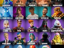 خرید اکانت فورتنایت کد 5081