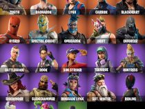 خرید اکانت فورتنایت کد 5090