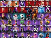 خرید اکانت فورتنایت کد 5103