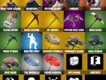 خرید اکانت فورتنایت کد 5223