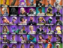 خرید اکانت فورتنایت کد 5263