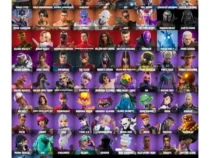 خرید اکانت فورتنایت کد 5264