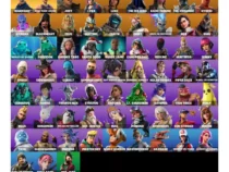 خرید اکانت فورتنایت کد 5279