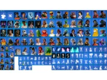 خرید اکانت فورتنایت کد 5317